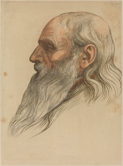 Studie af en mands hoved med fuldskæg af Alphonse Legros