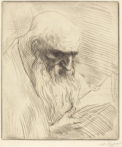 af Alphonse Legros