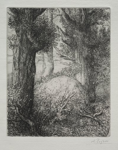 Galliske gravhøje af Alphonse Legros