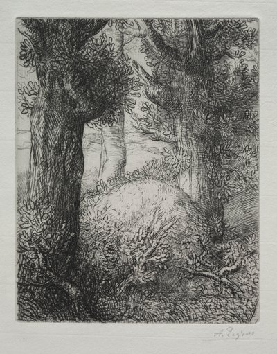 Galliske gravhøje. af Alphonse Legros