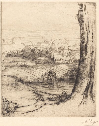 Udsigt over Reeds Coin de roseau. af Alphonse Legros