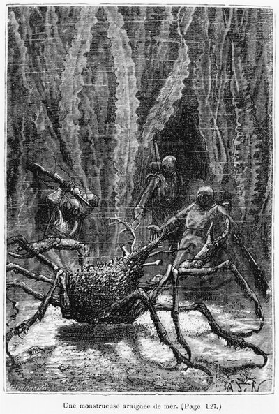 Spider Crab, illustration fra 