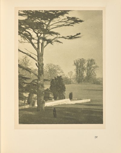 Kanten af haven af Alvin Langdon Coburn