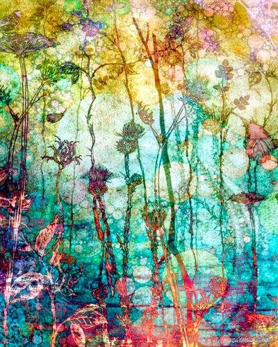 A Rich Tapestry (Warm), 2014, (digital mixed media phoneography) af AlyZen Moonshadow