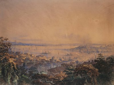Udsigt over Konstantinopel, 1866 af Amadeo Preziosi