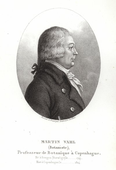 Martin Vahl af Ambroise Tardieu