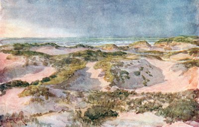 En stormfuld aften: The Dunes (farvelitografi) af Amedee (after) Forestier