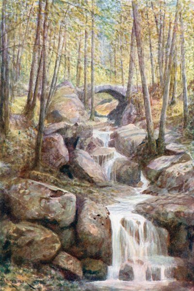 Pont du Prophete, Promenade Meyerbeer, Spa Woods (farvelitografi) af Amedee (after) Forestier