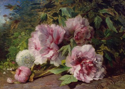 Studie af pæoner, 1874 af Amedee Baudit