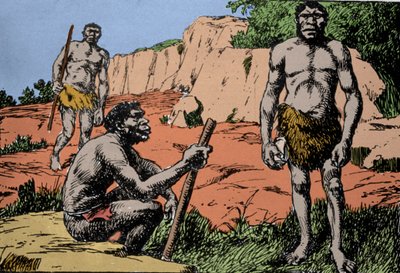 Forhistorie: repræsentation af Homo rhodesiensis eller mand fra Broken Hill, stamfader til Homo sapiens, hvis fossiler blev opdaget i Rhodesia (det nuværende Zambia i Afrika). Tegning af A. Forestier. DR af Amedee Forestier