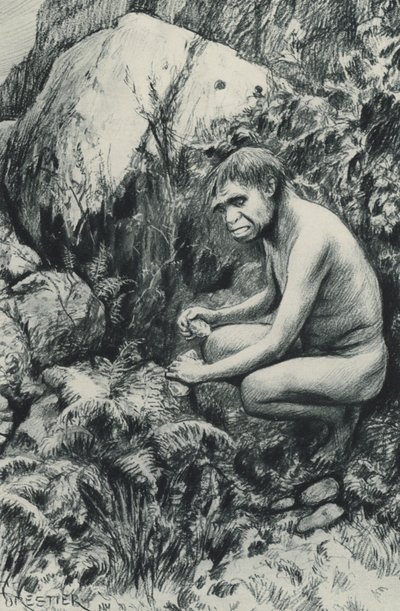 Den gamle lejer af det gamle plateau, måske ti tusinde århundreder siden af Amedee Forestier