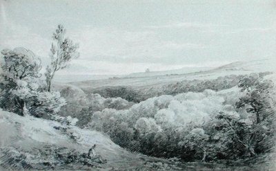 Whitby Abbey, fra Mulgrave af Amelia Long