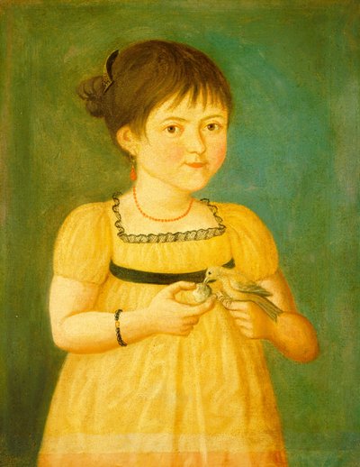 At fodre fuglen af American 19th Century