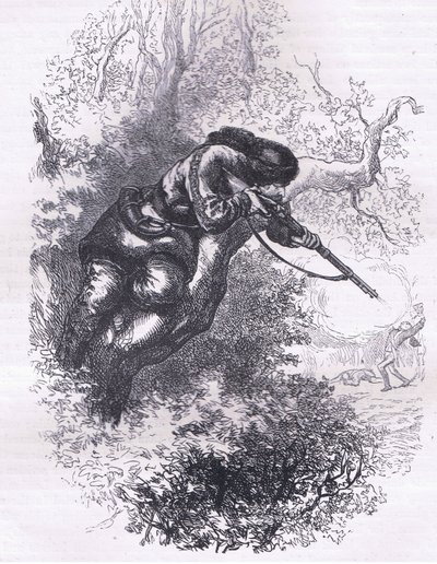 Amerikansk skytte op ad et træ, illustration fra Cassells History of the United States udgivet af Cassell, Petter & Galpin, ca. 1900 (litho) af American English school