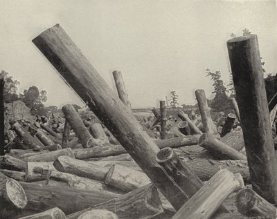 A Log Jam i St Croix River, Wisconsin (s/h-billede) af American Photographer (after)