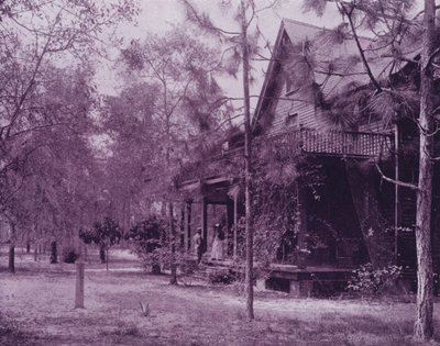 Et hjem i skyggen af Southern Pines, Florida (s/h-billede) af American Photographer (after)