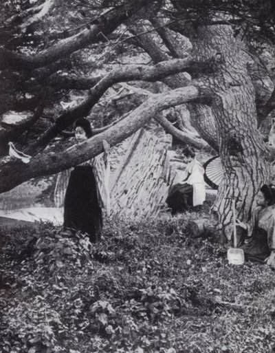 Japanske piger blandt de gamle fyrretræer ved siden af den gamle kejserlige voldgrav ved Tokio (s/h foto) af American Photographer (after)