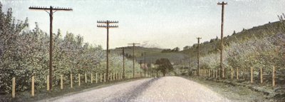Oregon: En vej i Hood River Valley (foto) af American Photographer (after)
