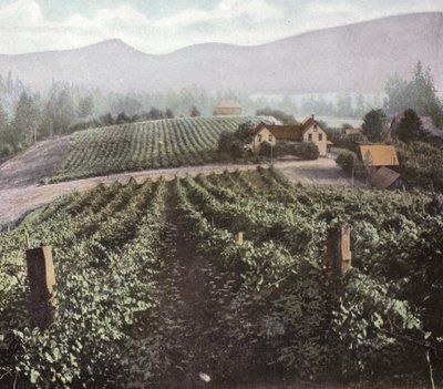 Oregon: Diversificeret landbrug i Willamette Valley (foto) af American Photographer (after)
