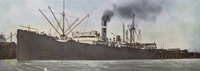 Oregon: Steamer i Portland Harbor (foto) af American Photographer (after)