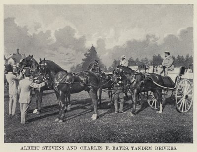 Albert Stevens og Charles F Bates, Tandem-chauffører (s/h-billede) af American Photographer