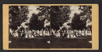 Børn og legeplads, Oneida Community, New York State, ca. 1870 (s/h-billede) af American Photographer