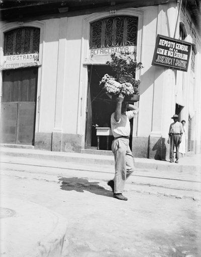 Blomsterhandler, Havana, ca. 1910 (s/h-foto) af American Photographer