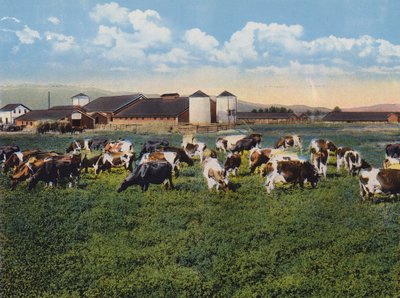 H R Timm Dairy, Dixon, Californien (farvefoto) af American Photographer
