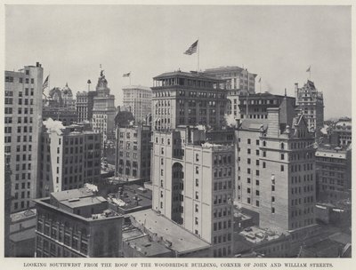Ser mod sydvest fra taget af Woodbridge Building, Corner of John and William Streets (s/h foto) af American Photographer