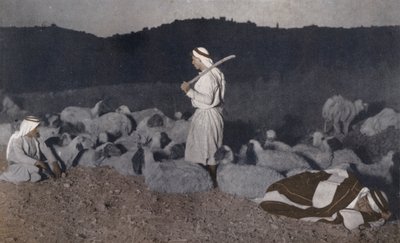 Palæstinensiske hyrder holder øje med deres flok om natten (foto i farver) af American Photographer