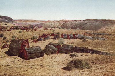 Petrified Forest, Arizona (farvet foto) af American Photographer