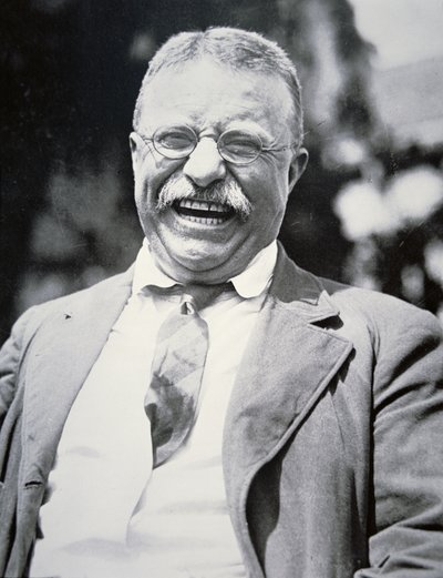 Præsident Theodore Roosevelt, ca. 1917 (s/h-foto) af American Photographer