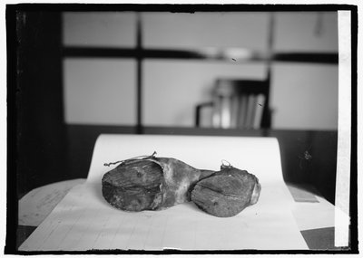 Forbudsenhed (kosko), 28. juni 1924 (s/h-foto) af American Photographer