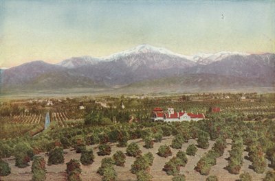 Redlands, Californien, Udsigt fra Smiley Heights (farvet foto) af American Photographer