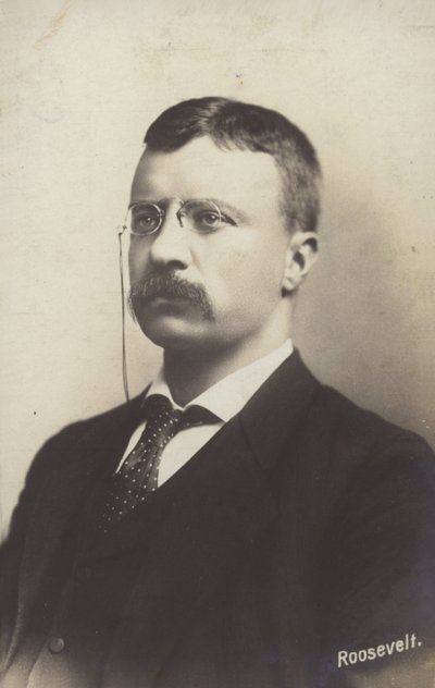 Roosevelt af American Photographer