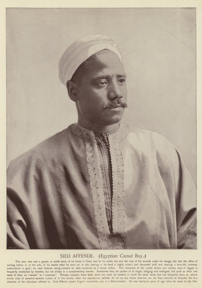 Sied Affende, egyptisk kameldreng af American Photographer
