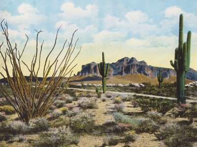 Superstition Mountain og ørkenen, "Apache Trail" (farvefoto) af American Photographer