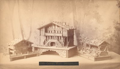 Schweiziske hytter, udskårne modeller, Philadelphia Centennial International Exhibition, 1876 (sølvalbumin-tryk) af American Photographer