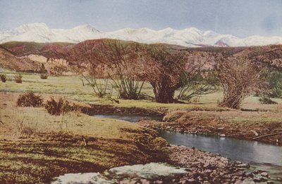 The Snowy Range, nær Trinidad, Colorado (foto i farver) af American Photographer