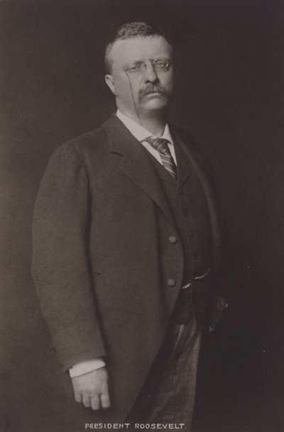 Theodore Roosevelt, 26. præsident for USA, 1904 af American Photographer
