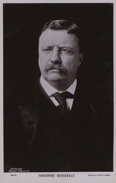 Theodore Roosevelt, amerikansk politiker og USA
