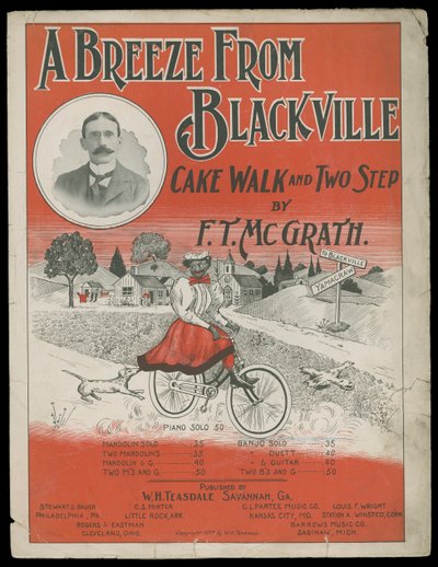 En brise fra Blackville af American School
