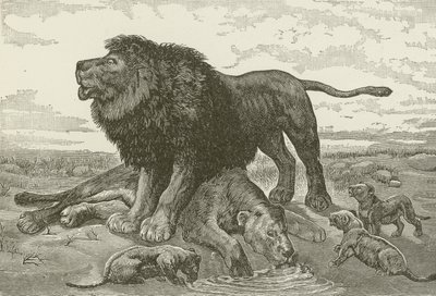 A Dirge in the African Desert, fra et maleri af J N Nettleship af American School