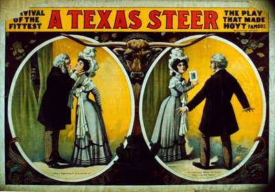 En Texas Steer af American School