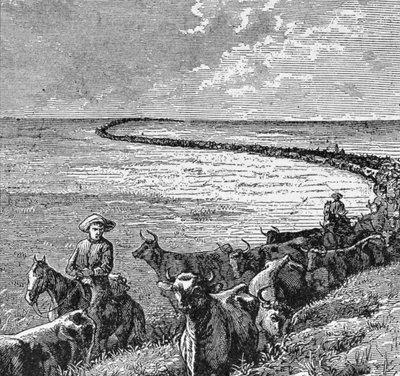 A Trail in the Great Plains, illustration fra 