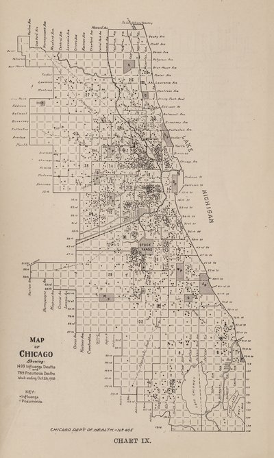 En rapport om en epidemi af influenza i byen Chicago i efteråret 1918 af American School