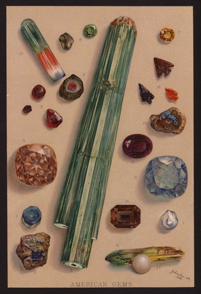 Amerikanske ædelstene (farvelitografi) af American School