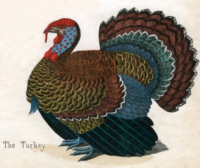 Antik tryk af et Tyrkiet af American School