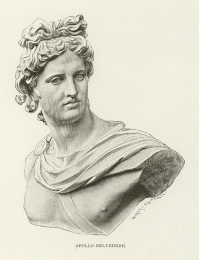 Apollo Belvedere af American School