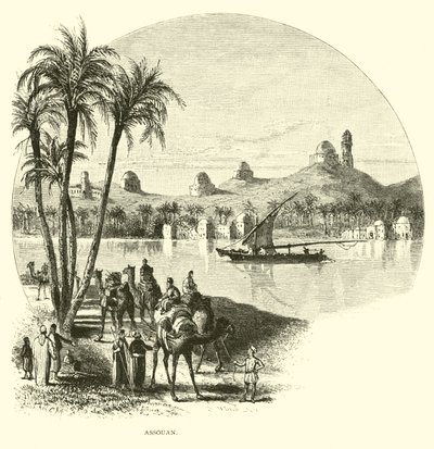 Aswan af American School